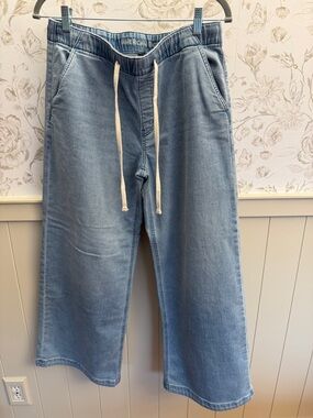 American Eagle Outfitters Light Blue Wide-Leg Drawstring Jeans